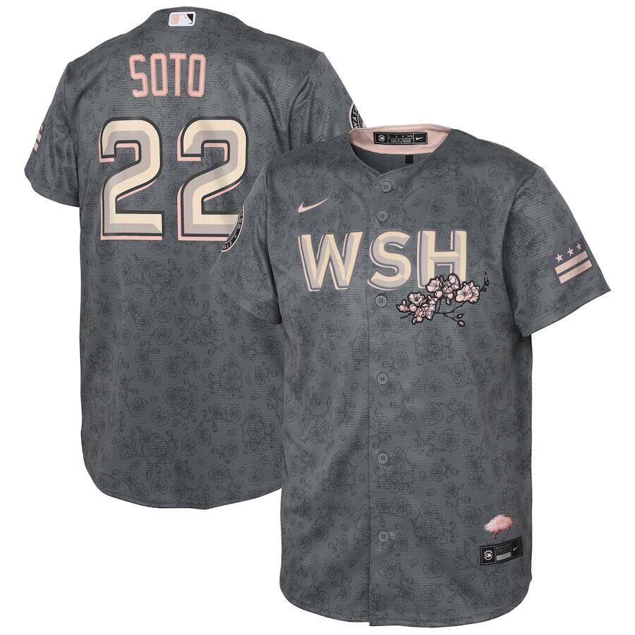 Juan Soto Washington Nationals Nike Youth 2022 City Connect Replica Player Jersey - Grey.jpeg